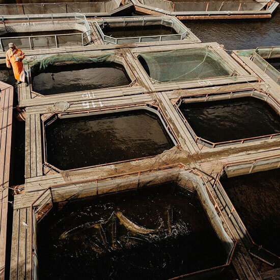 Tienda de Caviar Ruso